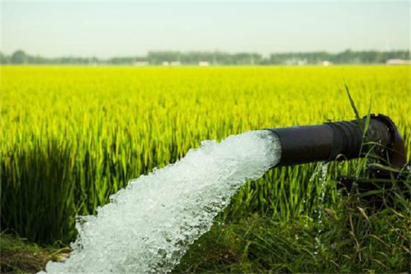 農田灌溉水質標準及檢測方法——《GB 5084-2021》